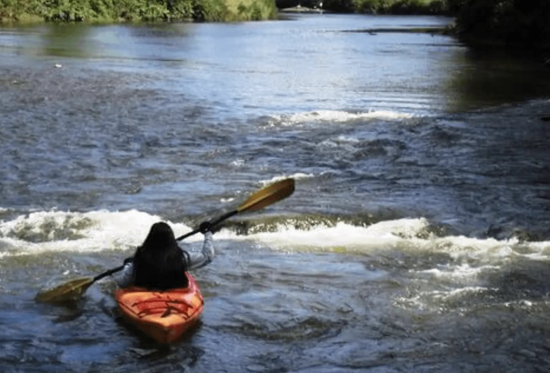 kayak