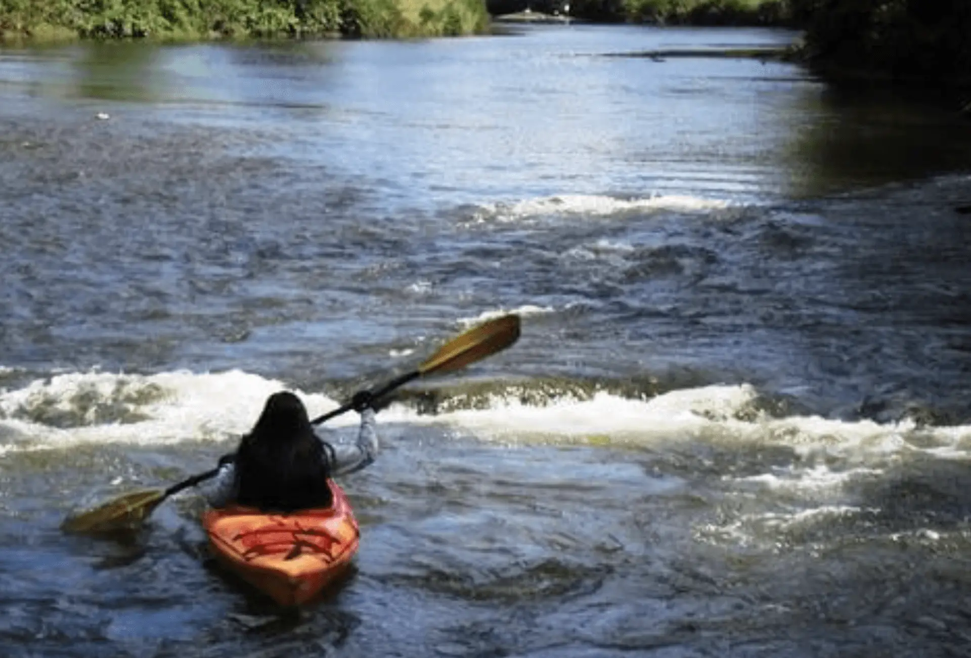 kayak